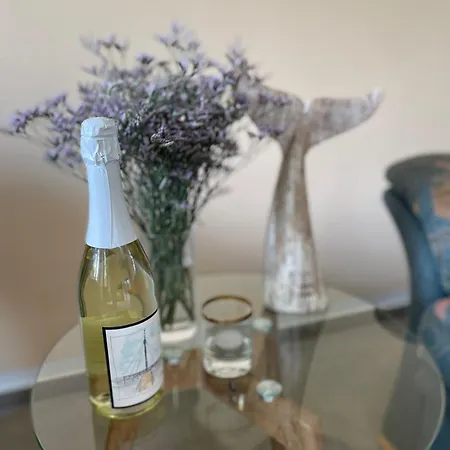 Apartament Ilka We 14