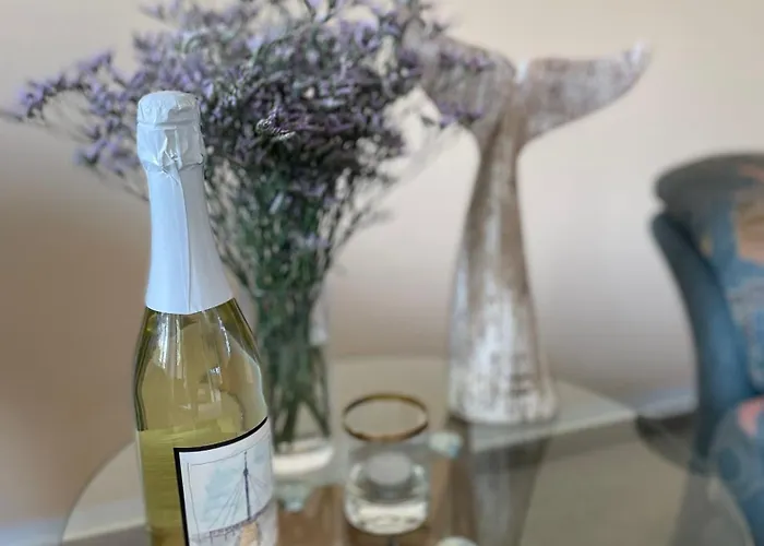 Appartement Ilka We 14